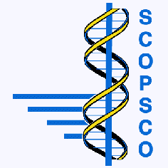 Die treibenden Kräfte von evolutionären Veränderungen und Dynamiken von Artengemeinschaften im Langzeitsee Ohrid: Eine Synthese von molekularen, paläontologischen und Sedimentkern-Daten Logo