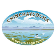 Die Untersuchung geophysikalischer Eigenschaften anhand von Bohrlochdaten und deren Verlinkung mit der Mineralogie in Kernen des ICDP Lake Junin Bohrprojekts in Peru  Logo