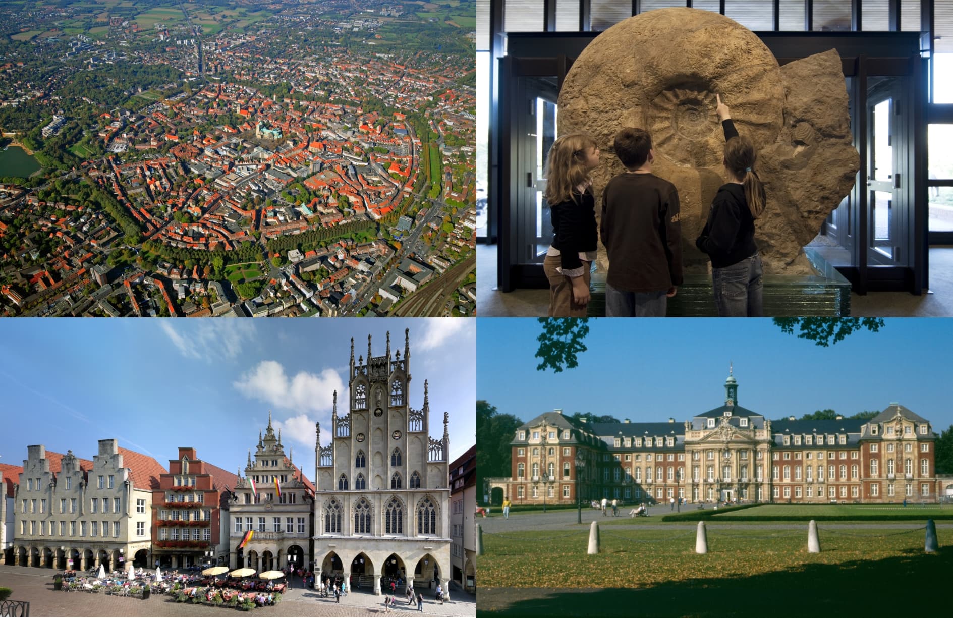 Gemeinsames IODP/ICDP Kolloquium Münster Cover