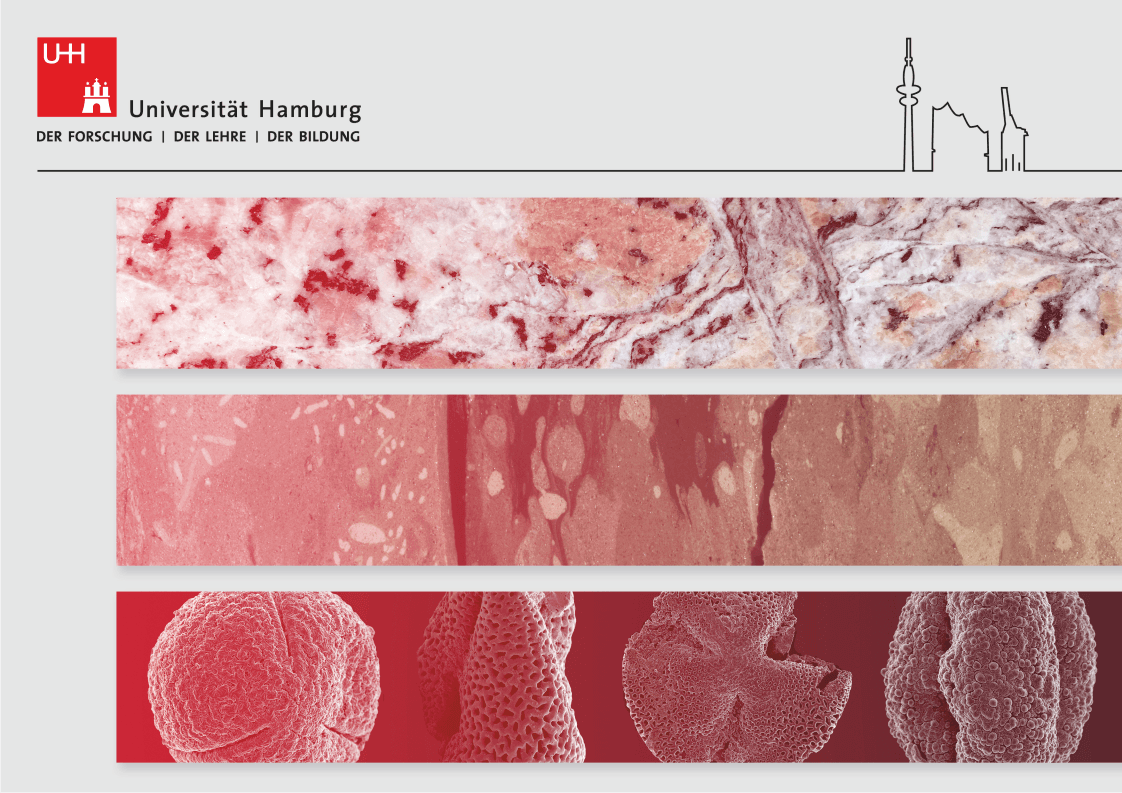 Gemeinsames IODP/ICDP Kolloquium Hamburg - Digitales Meeting am 16.03.21 Cover